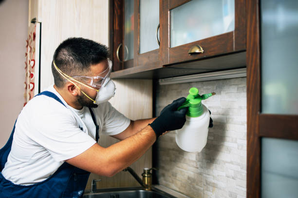 Best Bed Bug Extermination  in Bel Air, MD