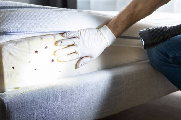 Best Insect Control  in Bel Air, MD