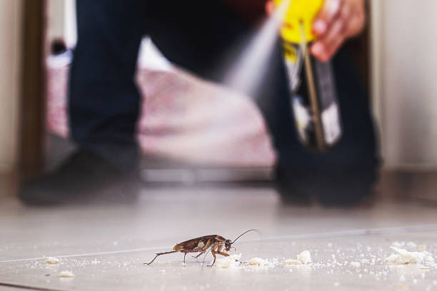 Best Residential Pest Control  in Bel Air, MD