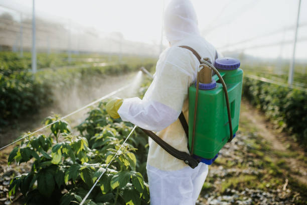 Best Cockroach Control Services  in Bel Air, MD